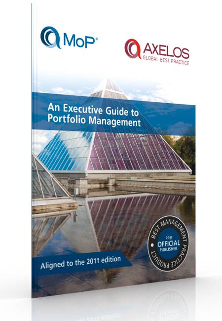An Executive Guide to Portfolio Management PDF